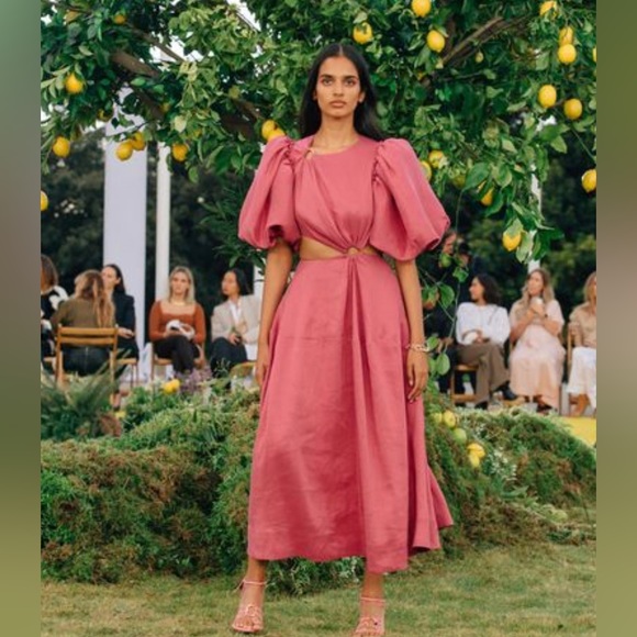 Aje Women's Pink Vanades Cut Out Ring Midi Dress - Picture 3 of 4